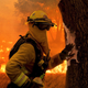 Illustration for article titled California Firefighters Massage 2.5 Million Gallons Of Moisturizer Into Forests To Prevent Dryness